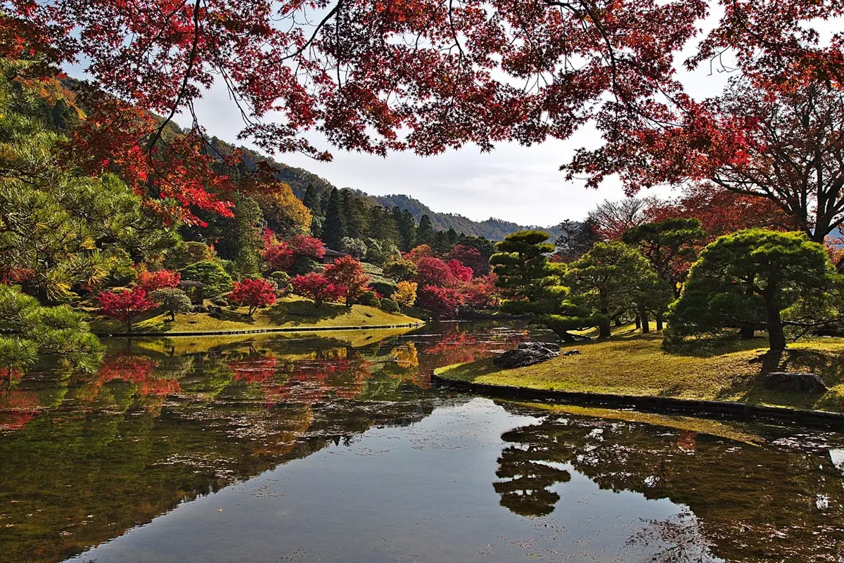 Kyoto Park - Japan