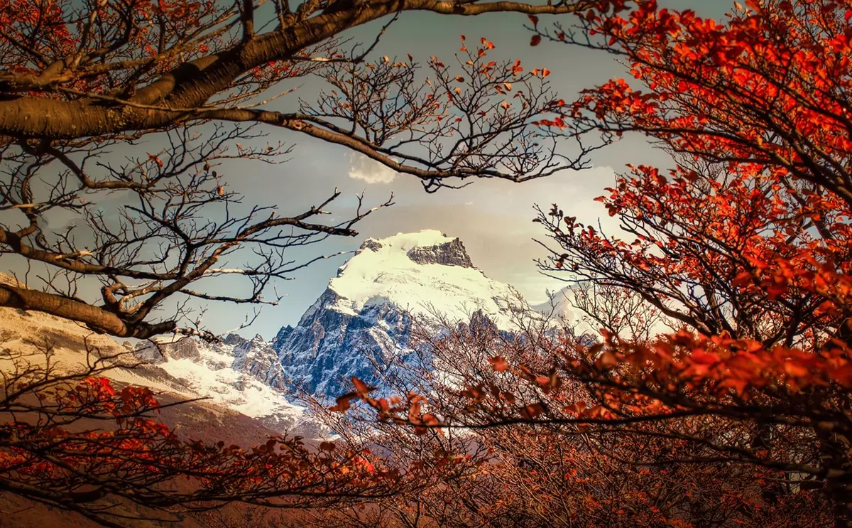 Patagonia in autumn