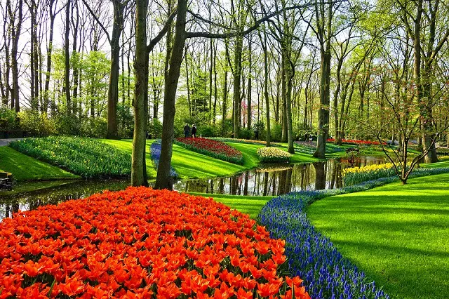 Keukenhof