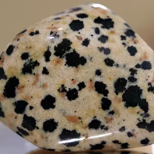 Dalmatian jasper - personality test