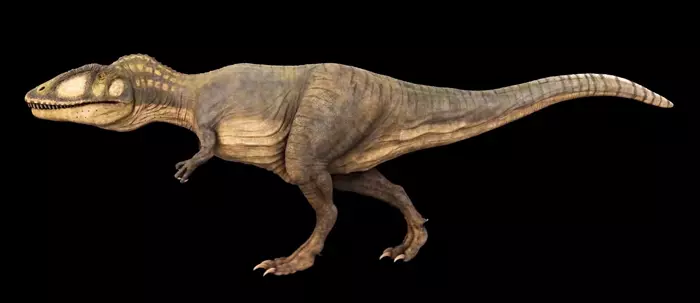 Reconstruction of Carcharodontosaurus