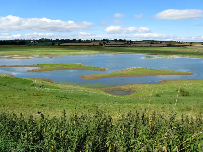 Two Great Nature Reserves To See In Yorkshire