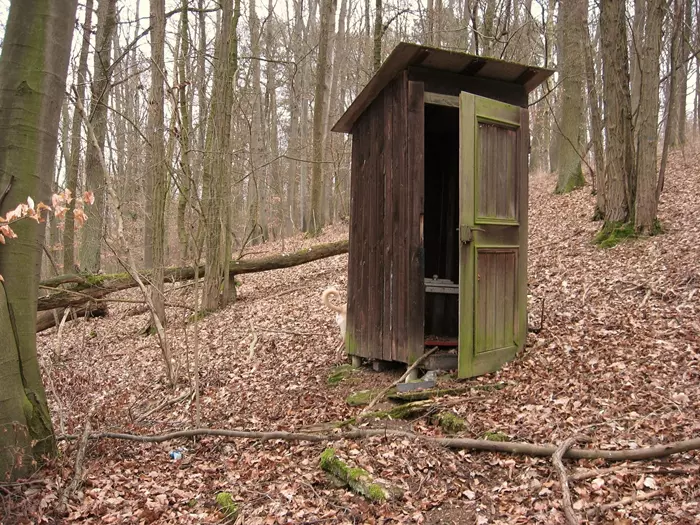 Toilet in the forest
