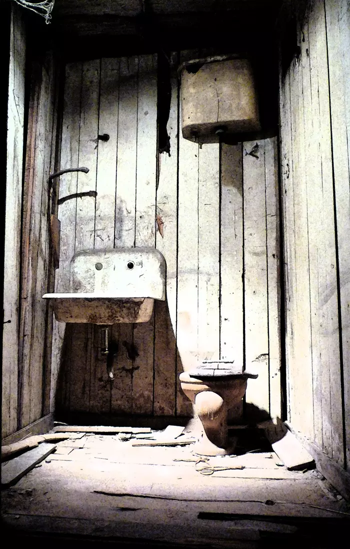 Abandoned toilet